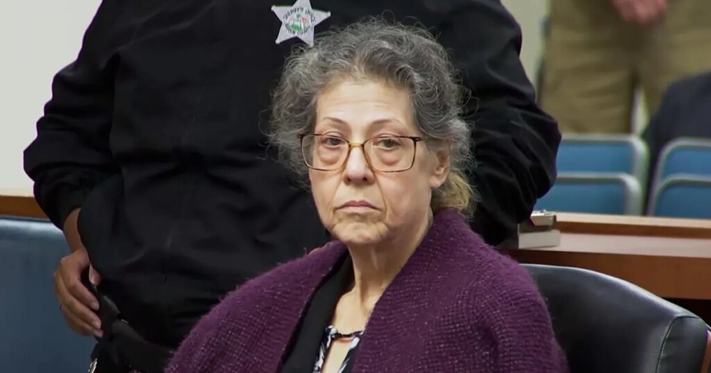 Understanding Susan Lorincz's Sentencing and Trial in The Perfect Neighbor Case