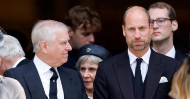 Prince William Plans to Exclude Prince Andrew from Royal Duties as Future King