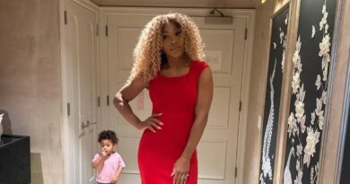 Serena Williams' Daughter Makes a Surprise Cameo While She Poses in a Red Dress