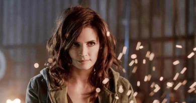 Where Are the Absentia Cast Members Now? Stana Katic's Role in the Cancelled Series