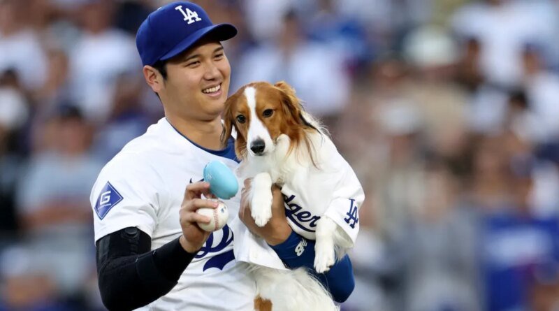 Shohei Ohtani Celebrates MVP Win with His Dog Instead of His Wife