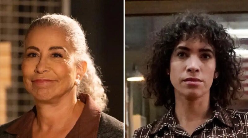 A Comparison of NCIS Characters and Their NCIS: Origins Counterparts