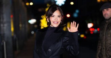 Recreate Lauren Sanchez’s Chic Holiday Clutch Look for Just $36!