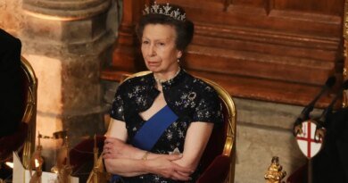 Princess Anne Dazzles in Her Beloved Diamond Festoon Tiara at State Banquet