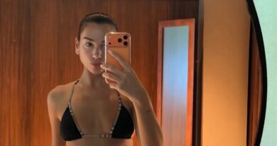 Dua Lipa Rocks Ultra Low-Waisted Bikini During Getaway with Callum Turner