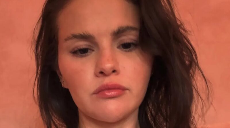 Selena Gomez Jokes About a Comment on Her 'Mustache'