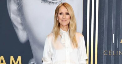 Celine Dion Reveals the Unexpected Items in Her Dior Bag
