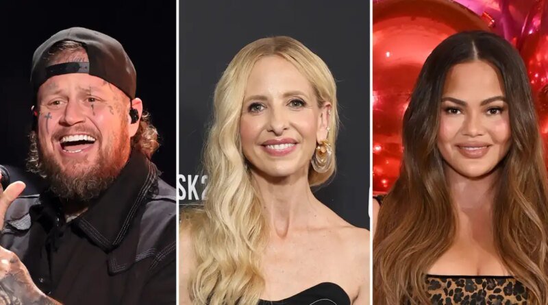 Jelly Roll, Sarah Michelle Gellar, and Chrissy Teigen Team Up for Star Search