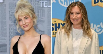 Meghan Trainor Declares Innocence in Ashley Tisdale Mom Group Controversy
