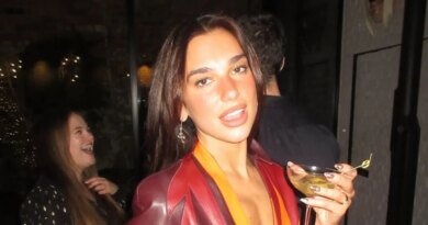 Dua Lipa Dazzles in a Sheer Silver Dress to Welcome 2026