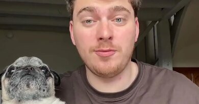 French Influencer Cyril Schreiner Confesses to Faking the Kidnapping of Albert the Pug