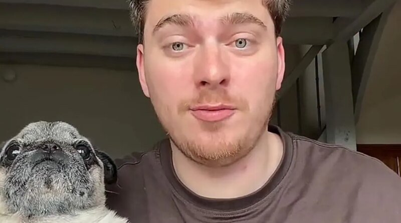 French Influencer Cyril Schreiner Confesses to Faking the Kidnapping of Albert the Pug