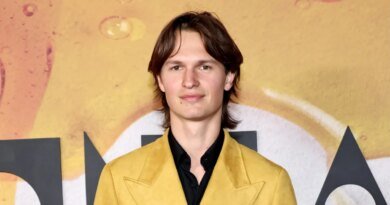 Ansel Elgort Announces Birth of His First Child, Shares Adorable Photo of His Son