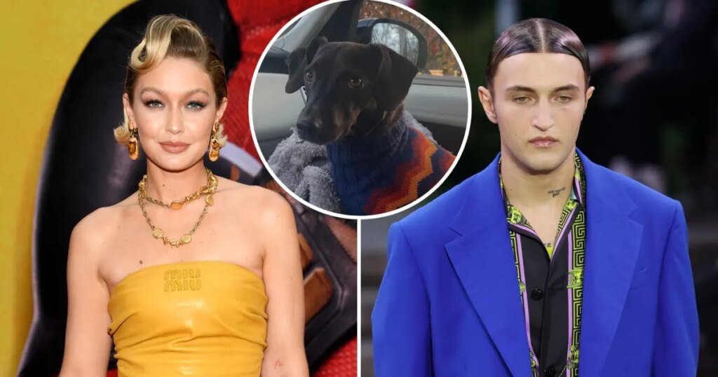 Gigi Hadid Commemorates Her Brother's Dog with Heartwarming Photo of Daughter Khai