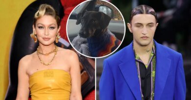 Gigi Hadid Commemorates Her Brother's Dog with Heartwarming Photo of Daughter Khai