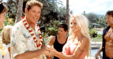 Will Pamela Anderson and David Hasselhoff Join Stephen Amell’s Baywatch Series?