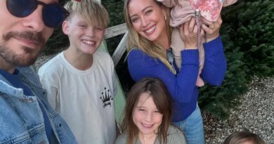 Hilary Duff Shares Heartwarming Family Photos of Her Kids with Mike Comrie and Matthew Koma