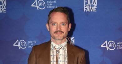 Elijah Wood Opens Up Rarely About His Life as a Father of Two