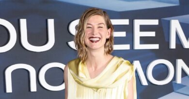 Rosamund Pike Looks Back on Her Pregnancy Post-Gone Girl Success