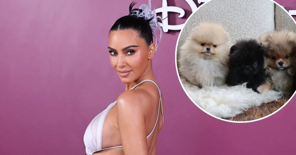 Kim Kardashian Showcases Her Four Puppies Amidst PETA Criticism