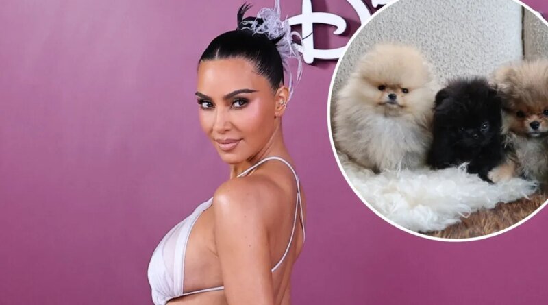 Kim Kardashian Showcases Her Four Puppies Amidst PETA Criticism