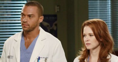 Grey's Anatomy Highlights Jesse Williams' Jackson Following His Return