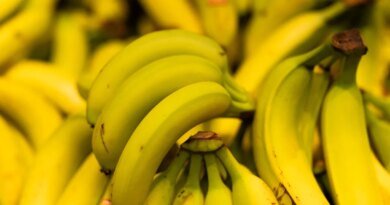 Scottish Tesco Store Unintentionally Orders 38,000 Bananas