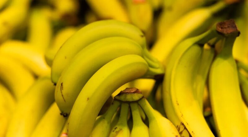 Scottish Tesco Store Unintentionally Orders 38,000 Bananas
