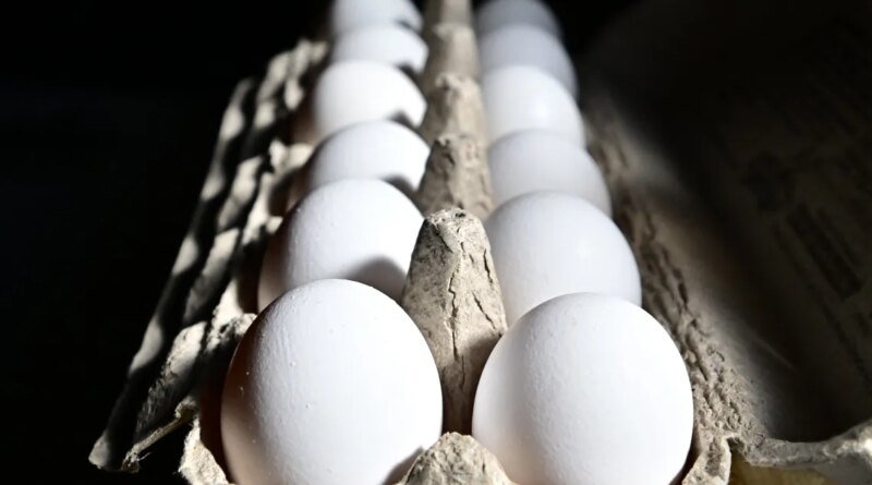 Why Experts Warn That the Viral Frozen Egg TikTok Trend Could Be Risky