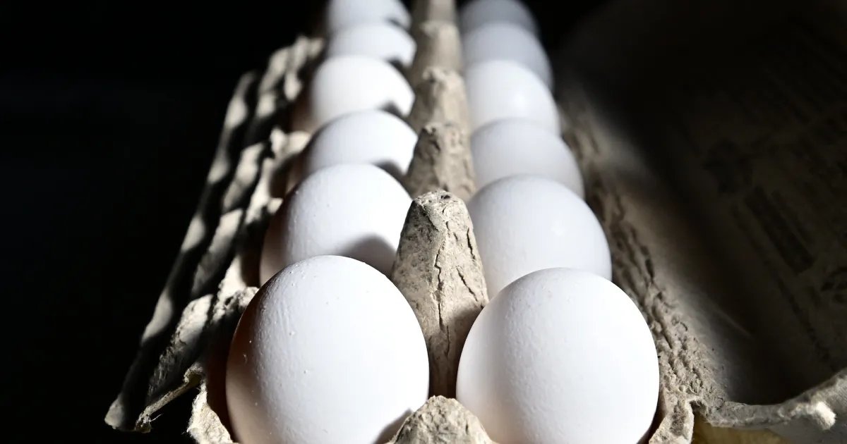 Why Experts Warn That the Viral Frozen Egg TikTok Trend Could Be Risky