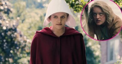 Handmaid's Tale Cast: A Look at the Hulu Stars Then and Now