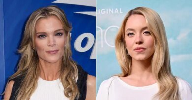 Megyn Kelly Criticizes Sydney Sweeney's Baby Scene in Euphoria