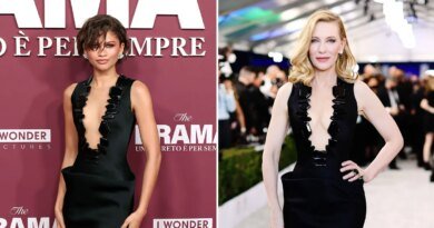 Zendaya Dons 'Something Borrowed' from Cate Blanchett
