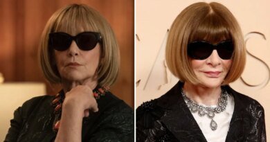 J. Smith-Cameron Drew Inspiration from Anna Wintour for Elsbeth Character