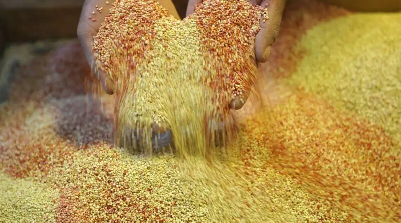 Heritage Grains Make a Comeback: Tips for Incorporating Them into Your Meals
