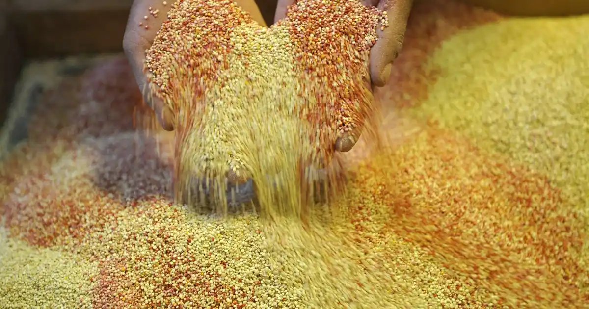 Heritage Grains Make a Comeback: Tips for Incorporating Them into Your Meals