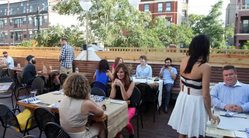 Understanding Farm to Table: Bridging the Gap Between Farms, Food, and People