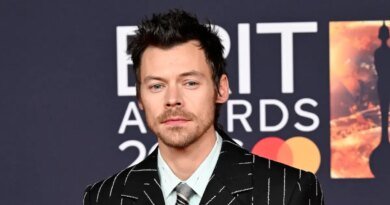 Harry Styles Discloses the 1996 Track That Accompanied His Virginity Experience