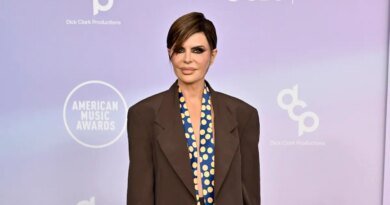 Lisa Rinna Goes Shirtless, Sporting a Tie with Husband Harry Hamlin