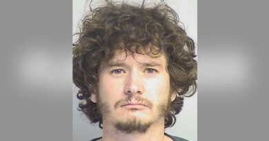 Father Taken into Custody After 1-Year-Old Son Left Unattended in Car for Extended Period