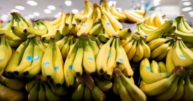 A Banana Could Diminish 84% of Your Smoothie's Nutritional Value