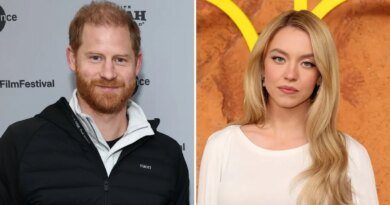 Prince Harry, Sydney Sweeney, and Others Enjoy Knicks Victory