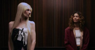 Euphoria Series Finale Receives Mixed Reactions from Fans