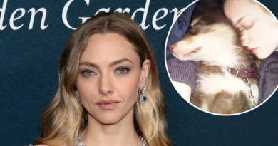 Amanda Seyfried Honors Her Beloved Dog Finn Following His Passing at 16