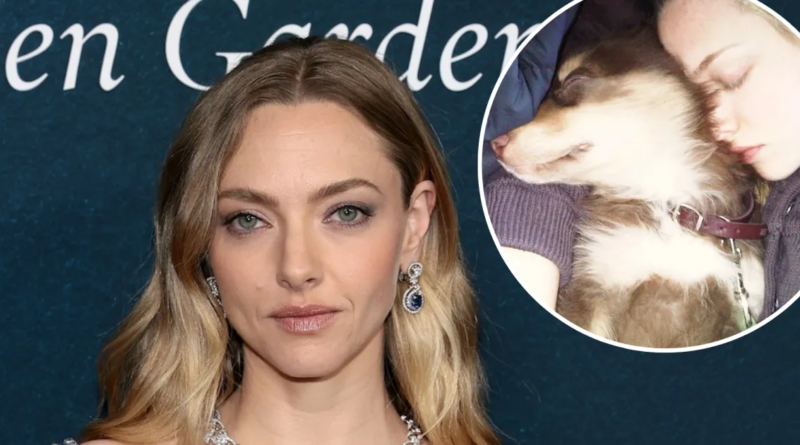 Amanda Seyfried Honors Her Beloved Dog Finn Following His Passing at 16