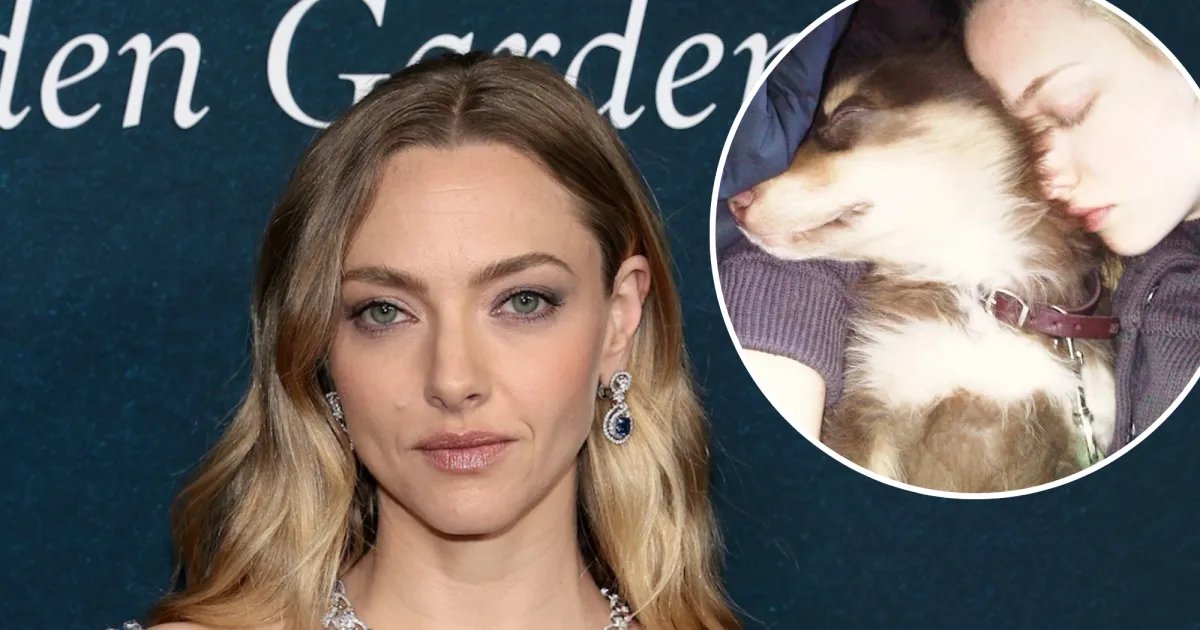 Amanda Seyfried Honors Her Beloved Dog Finn Following His Passing at 16