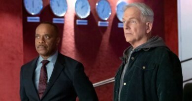 Every NCIS Star Who Departed: What Are They Up to Now?
