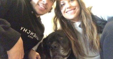 Meredith Gaudreau Honors Memory of Cherished Dog: 'Now with John'