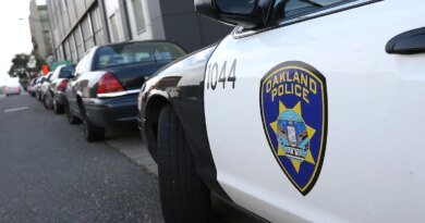 Brothers, Aged 7 and 4, Steal Parents' Car and Seriously Injure Woman
