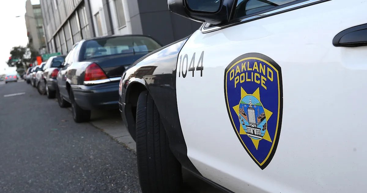 Brothers, Aged 7 and 4, Steal Parents’ Car and Seriously Injure Woman